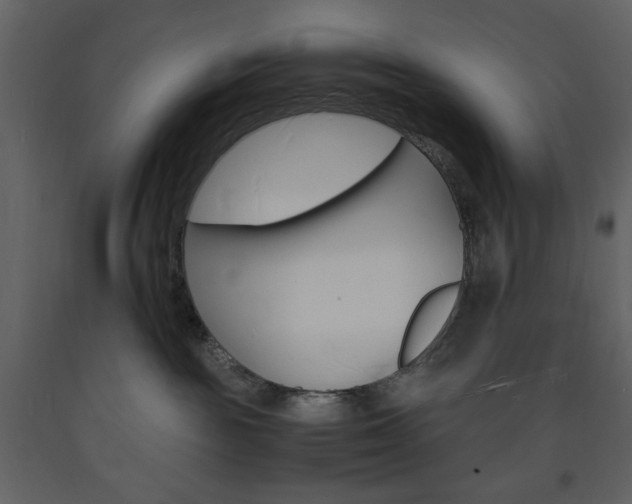 X0000094060189200710190941