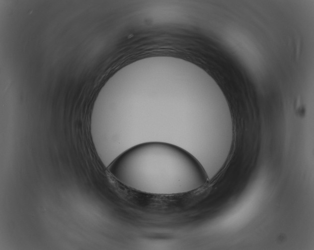 X0000094060190200710190941