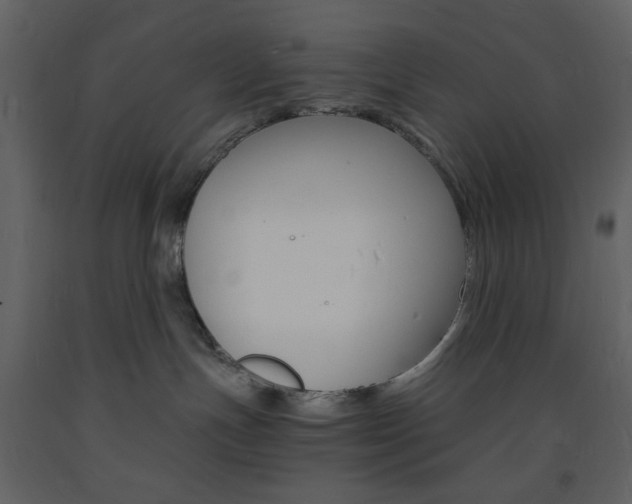 X0000094060191200710190942