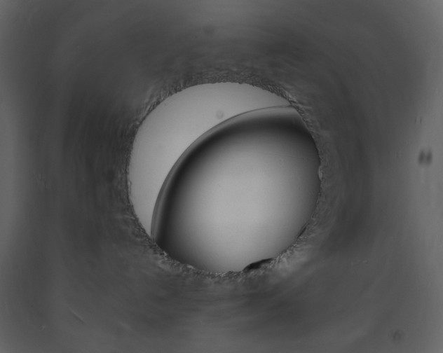 X0000094060192200710190942
