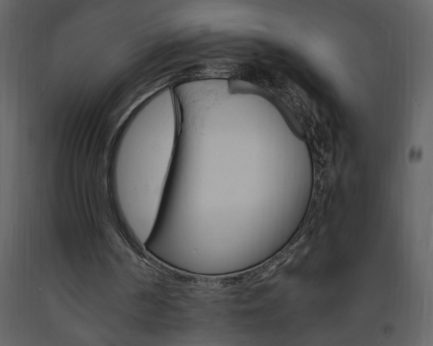X0000094060194200710190941