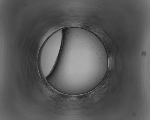 X0000094060195200710190941