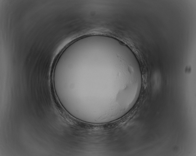 X0000094060196200710190941