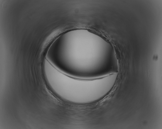 X0000094060197200710190941