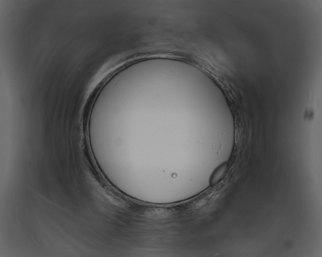X0000094060198200710190941