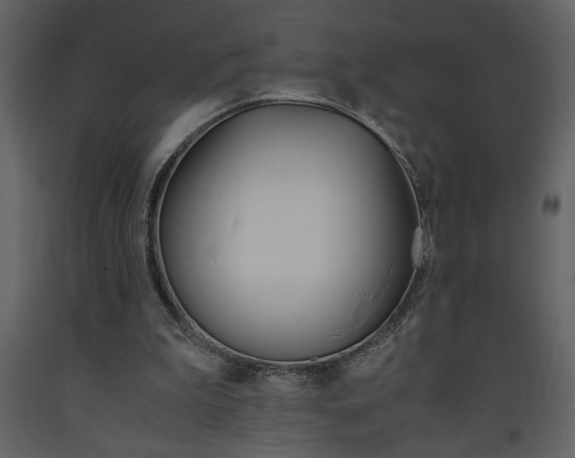 X0000094060199200710190941
