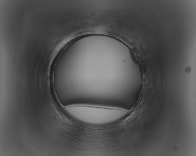 X0000094060200200710190941