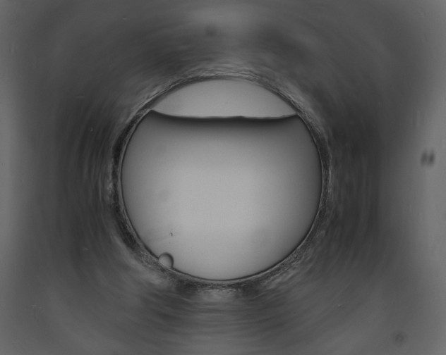 X0000094060202200710190941