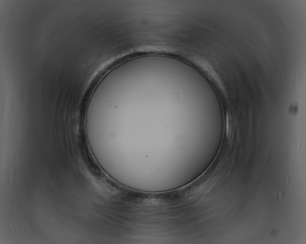 X0000094060204200710190941