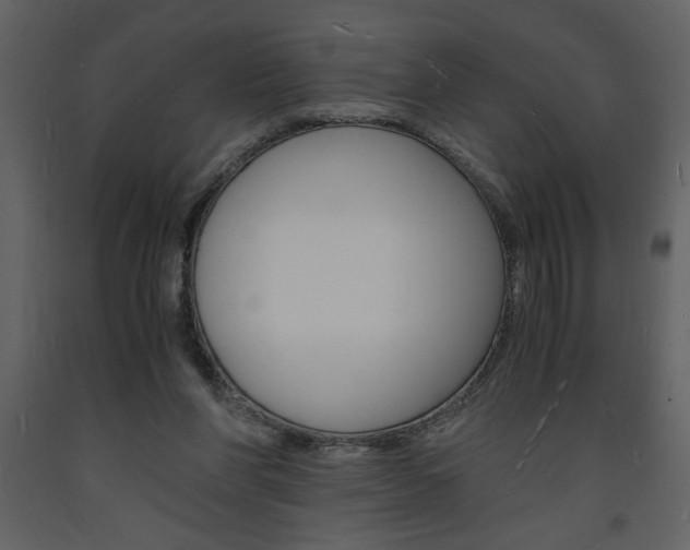 X0000094060206200710190941
