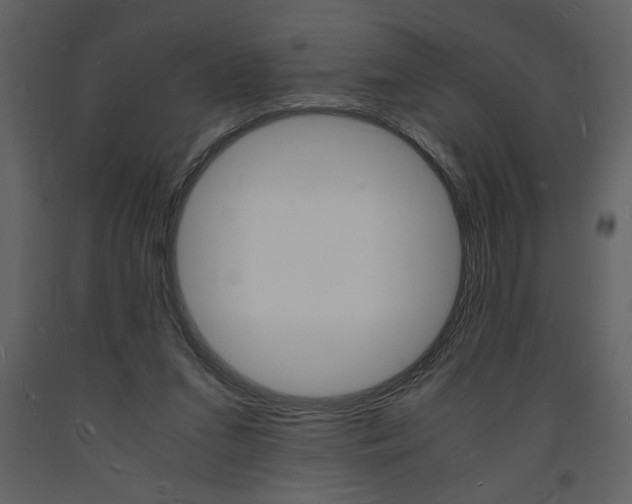 X0000094060207200710190940