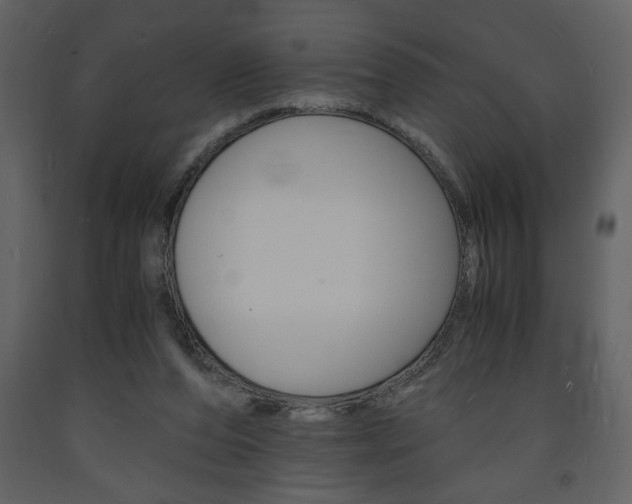 X0000094060208200710190940