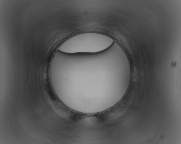 X0000094060210200710190940