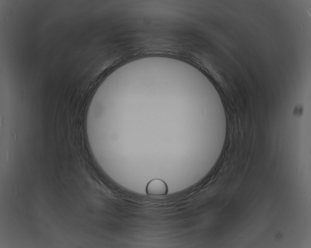 X0000094060211200710190940