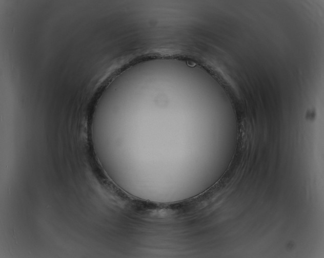 X0000094060212200710190940