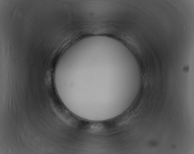 X0000094060214200710190940