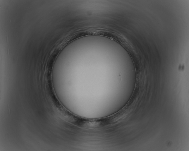 X0000094060217200710190940