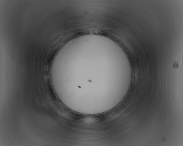 X0000094060218200710190940