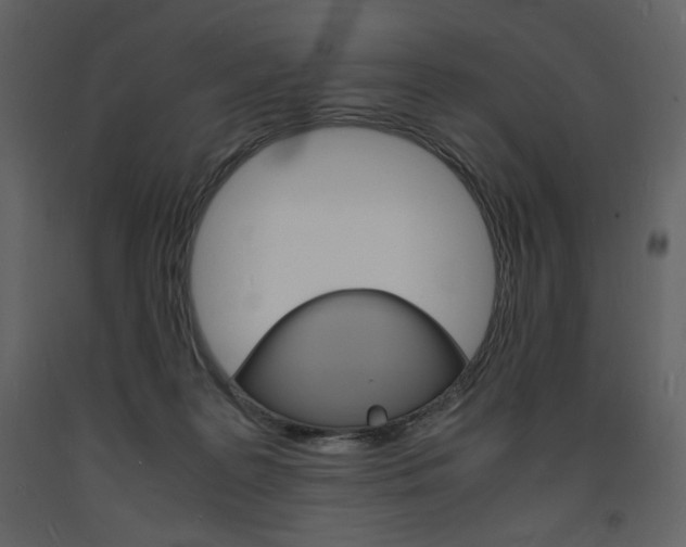 X0000094060219200710190940