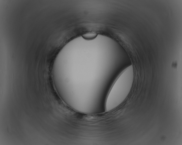 X0000094060221200710190940