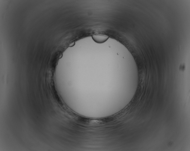 X0000094060222200710190940