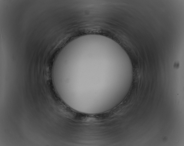 X0000094060224200710190940