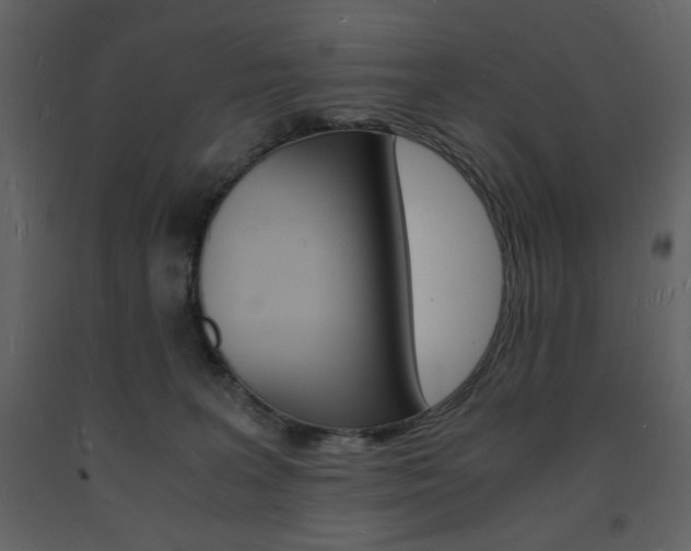 X0000094060227200710190940