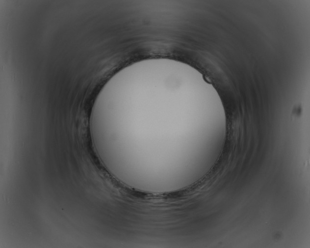 X0000094060228200710190940