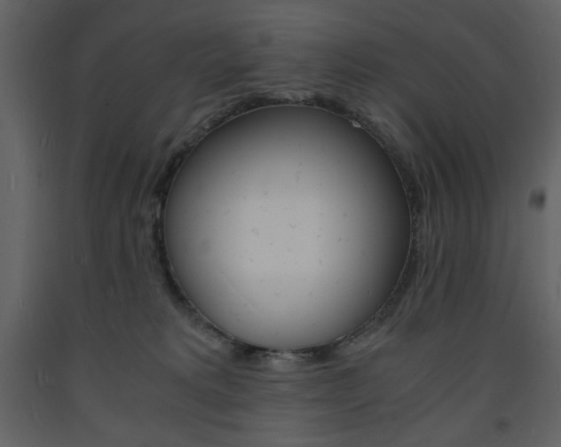 X0000094060229200710190940