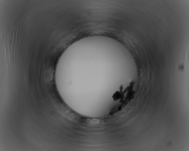 X0000094060230200710190940