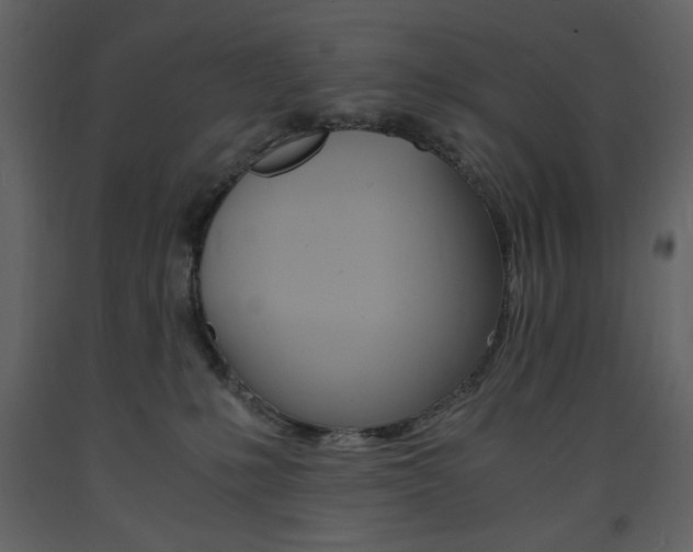 X0000094060231200710190940