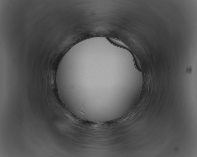 X0000094060232200710190940