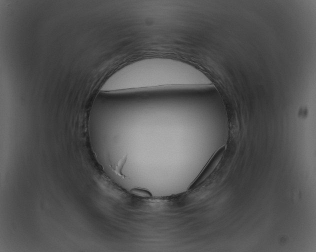 X0000094060233200710190940