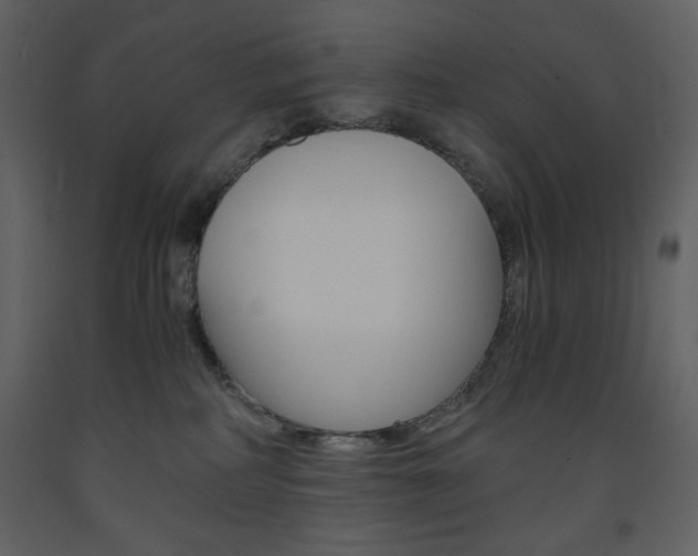 X0000094060234200710190940