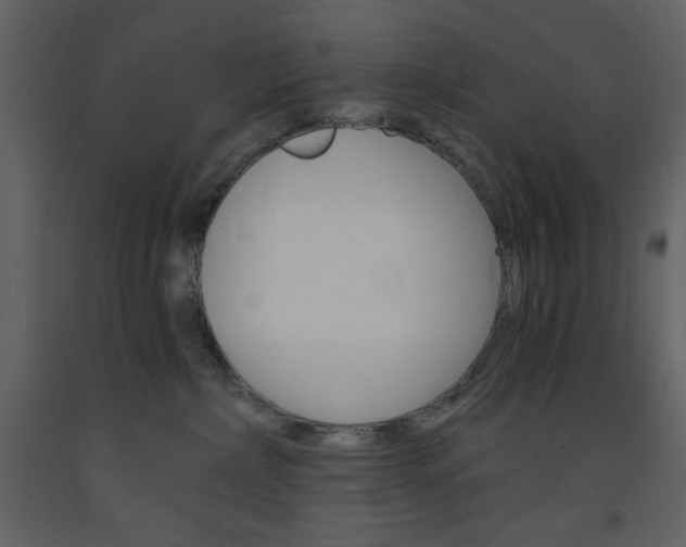 X0000094060236200710190940