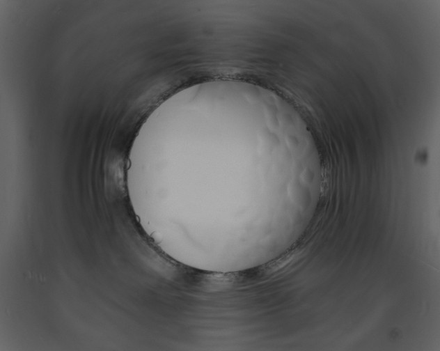 X0000094060238200710190940