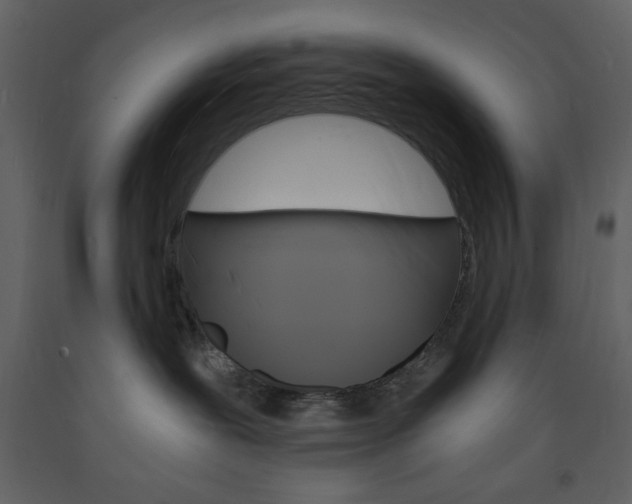 X0000094060239200710190940
