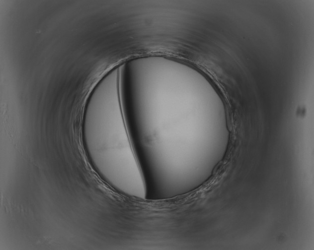 X0000094060241200710190939