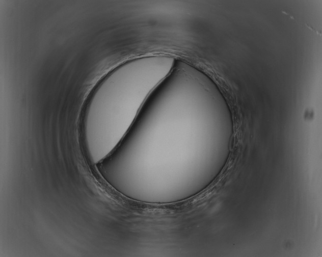 X0000094060242200710190939