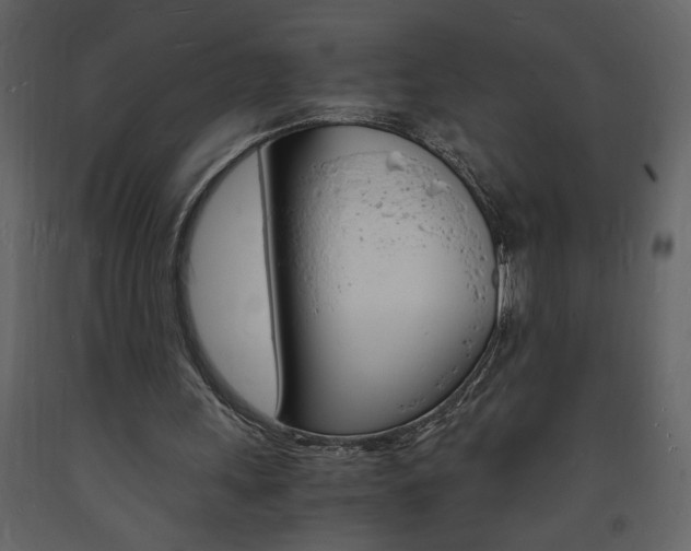 X0000094060243200710190939