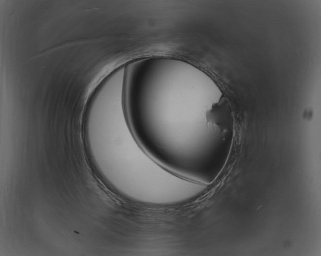 X0000094060244200710190939
