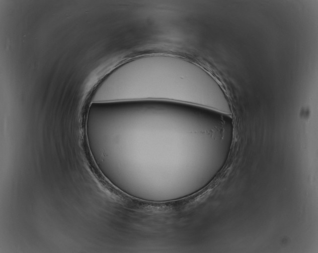 X0000094060245200710190939