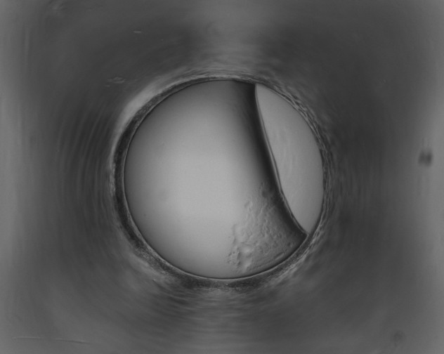 X0000094060246200710190939