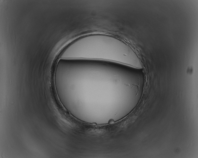 X0000094060247200710190939