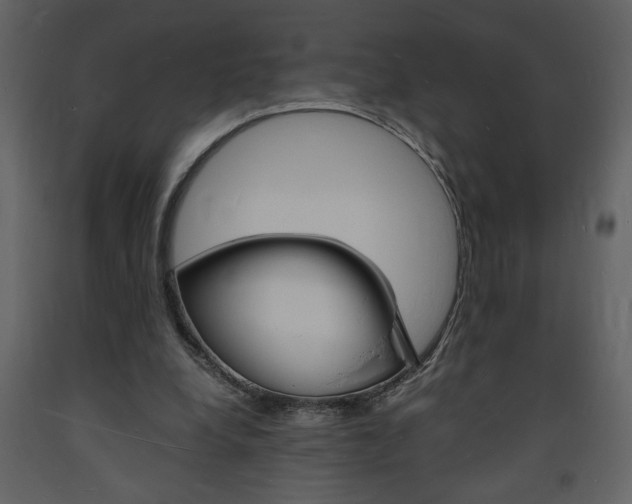 X0000094060248200710190939