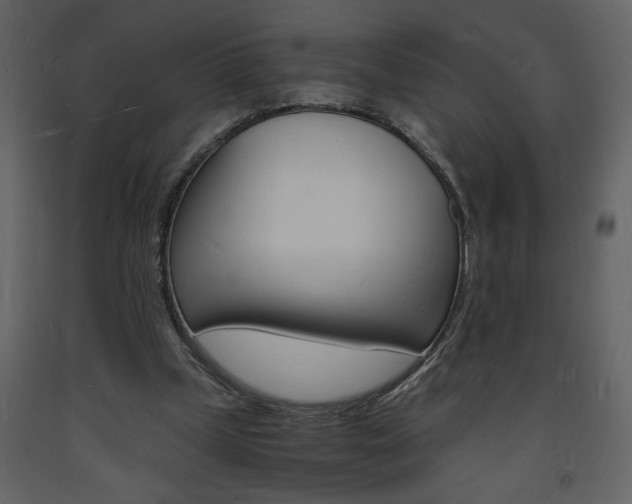 X0000094060249200710190939