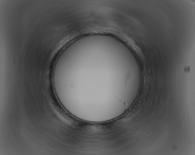 X0000094060250200710190939