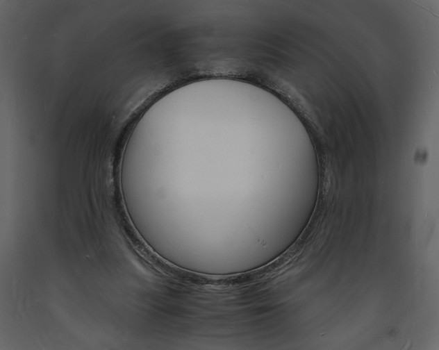 X0000094060251200710190939