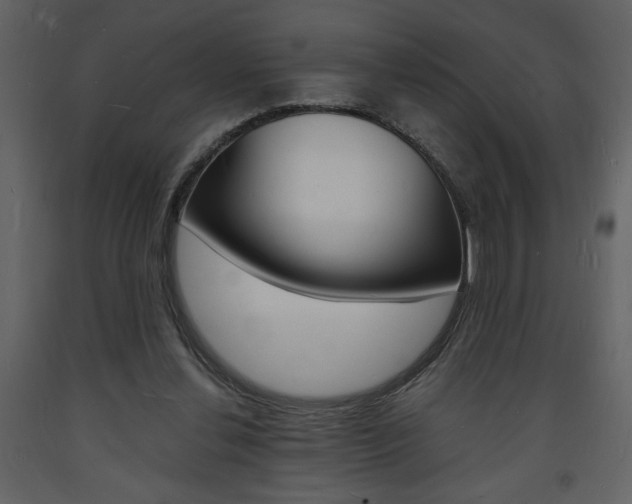 X0000094060252200710190939