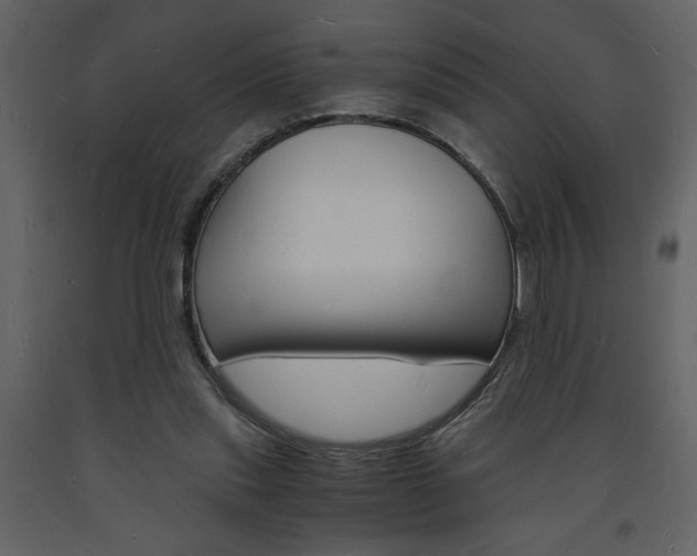 X0000094060253200710190939